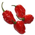 Atarodo - Habanero