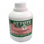 ATOTE