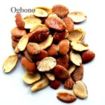 Ogbono