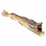 Stock Fish